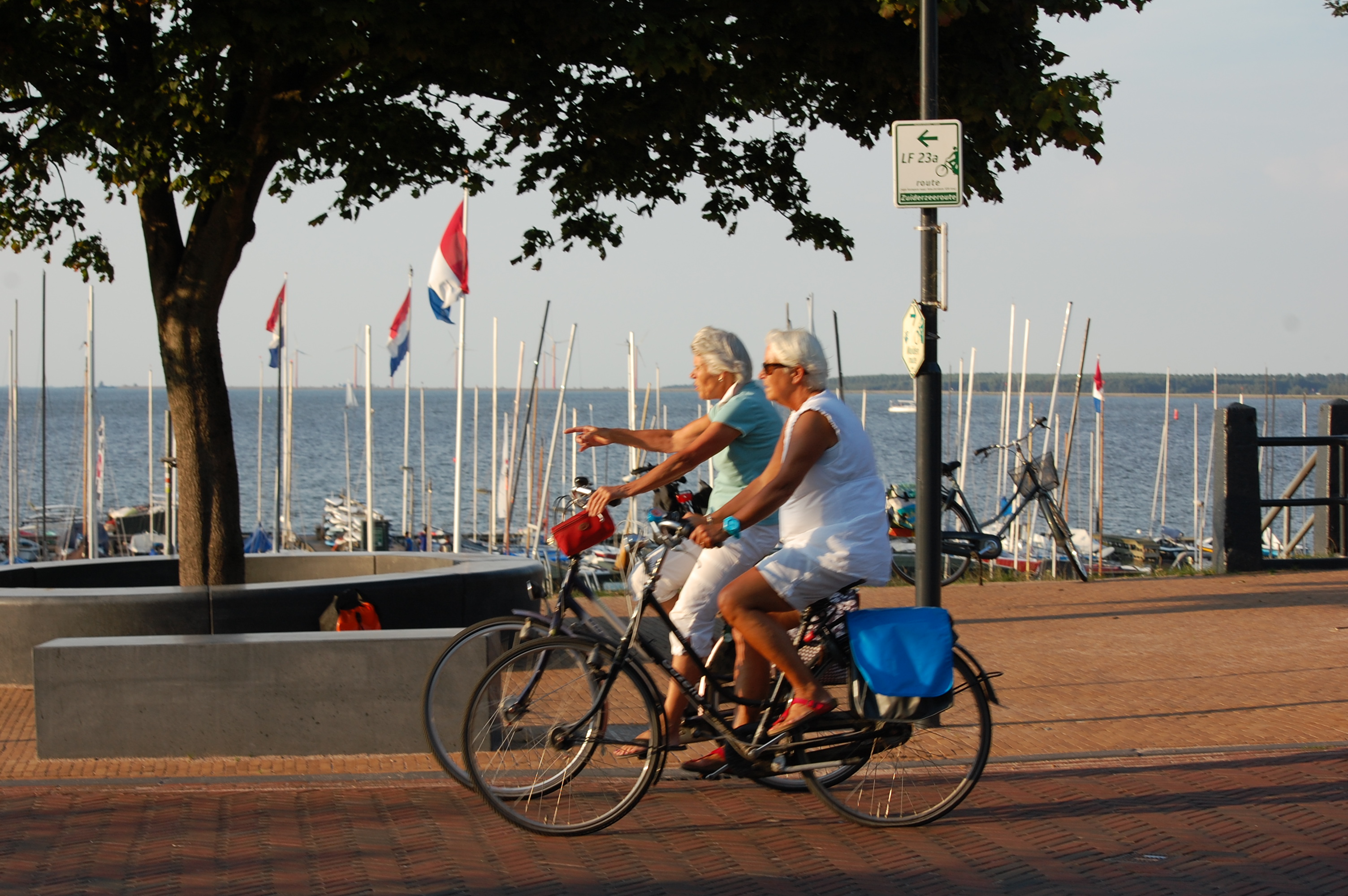 IJsselmeer Tour Ohne Deich Buchen Sie Bei Dutchbiketours.de